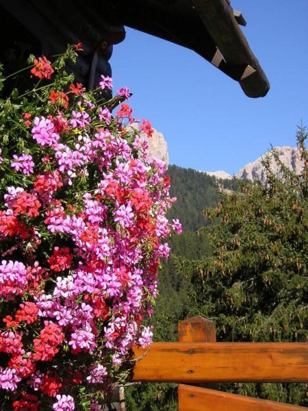 Hotel Gran Mugon Vigo di Fassa Kültér fotó